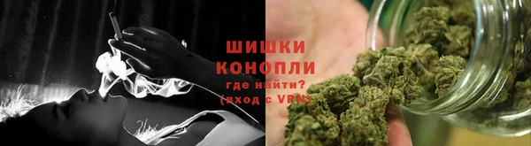PSILOCYBIN Верхний Тагил