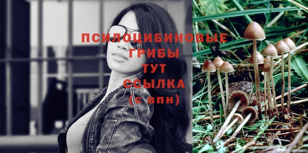 PSILOCYBIN Верхний Тагил