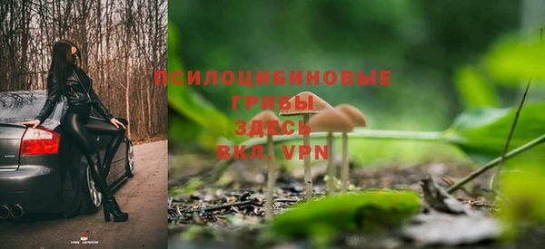 гашик Верхнеуральск